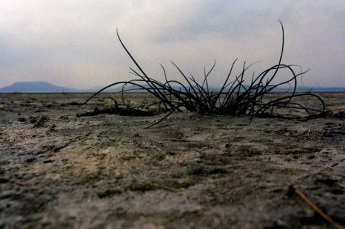 drying_out_at_balaton-en-002-500x333