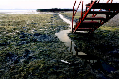 drying_out_at_balaton-en-007-500x333