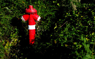 Tűzcsap/Fire hydrant 2016